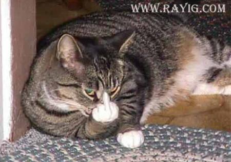 FUke YOU 